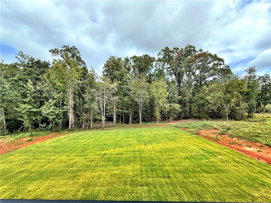 334 Summerall Drive Anderson, SC 29621 - Photo 19 of 22