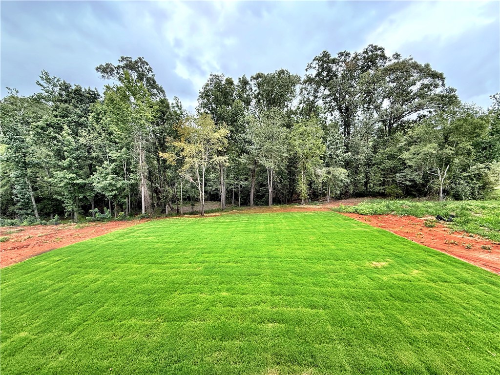 334 Summerall Drive Anderson, SC 29621 - Photo 20 of 22