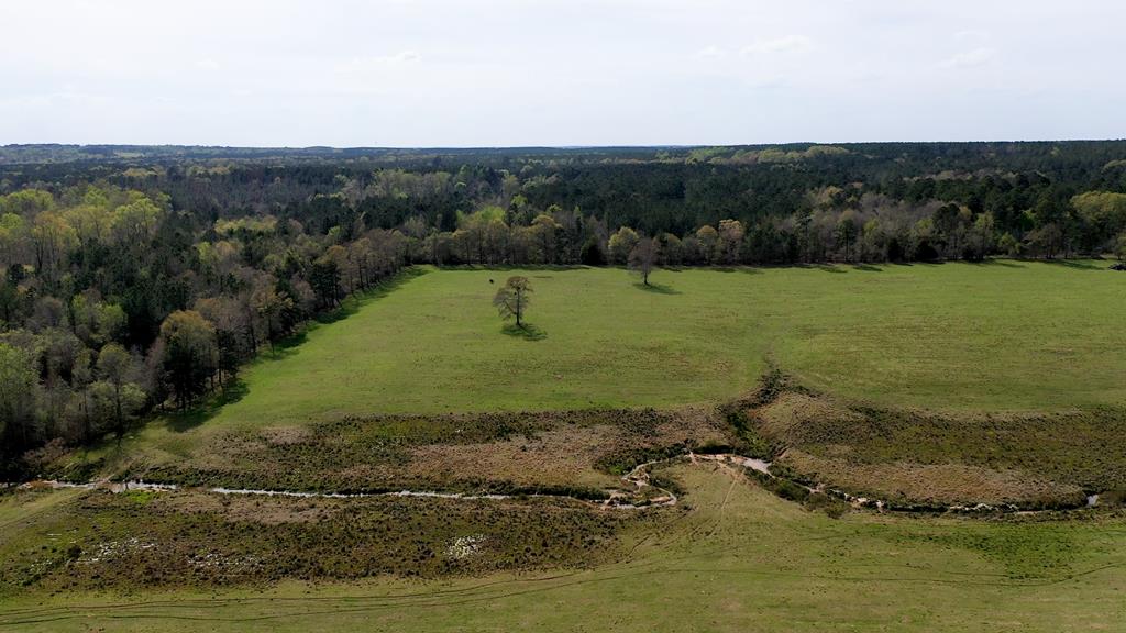 369 Bud Gary Road Clayton, AL 36016 - Photo 12 of 42