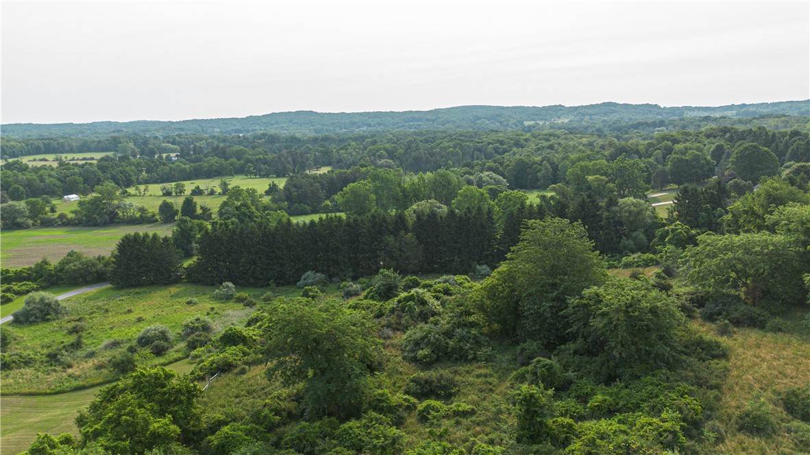 Lanning Road Honeoye Falls, NY 14472 - Photo 3 of 5