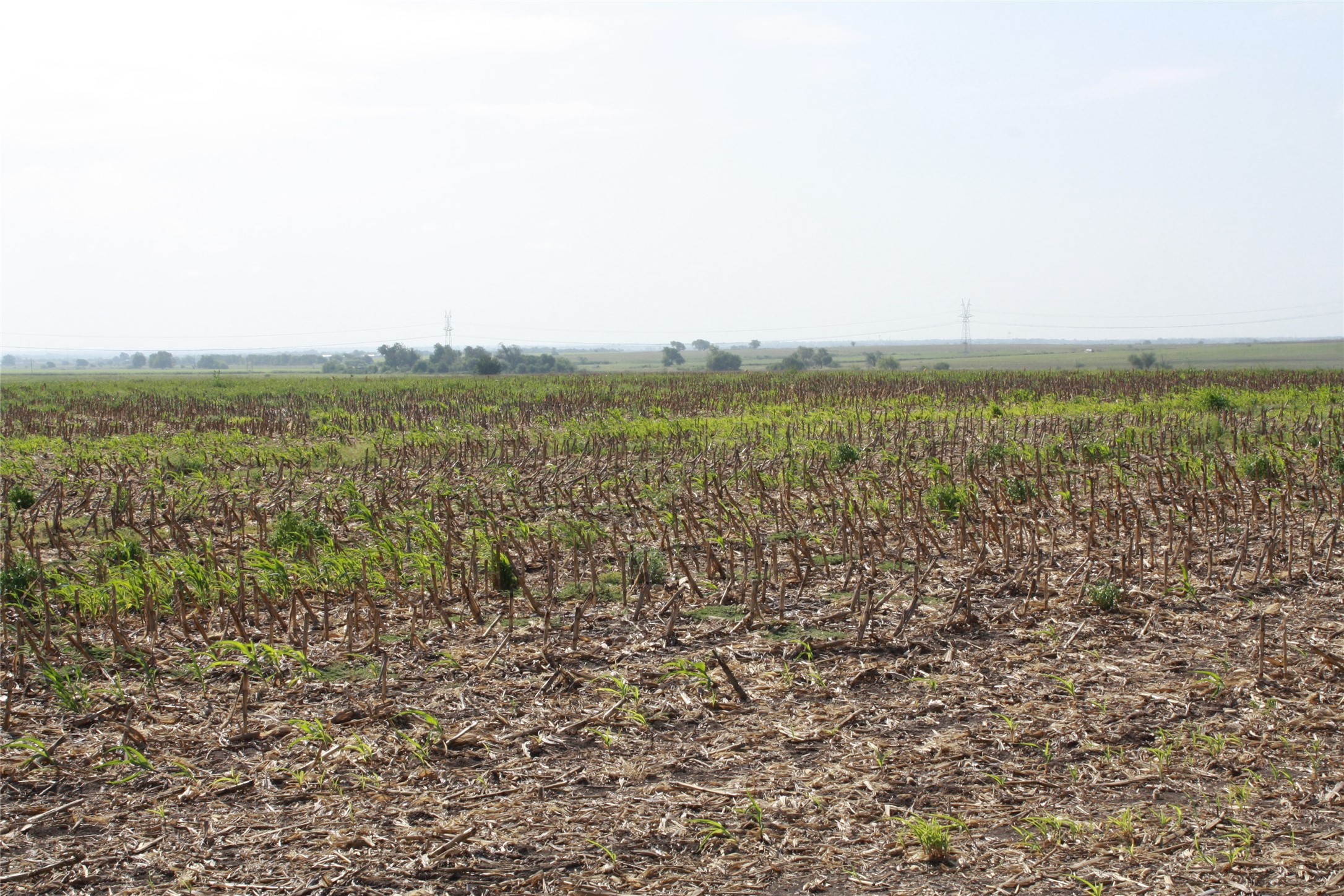 Tbd Gooseneck Road, Unit 2 Bartlett, TX 76511 - Photo 9 of 10