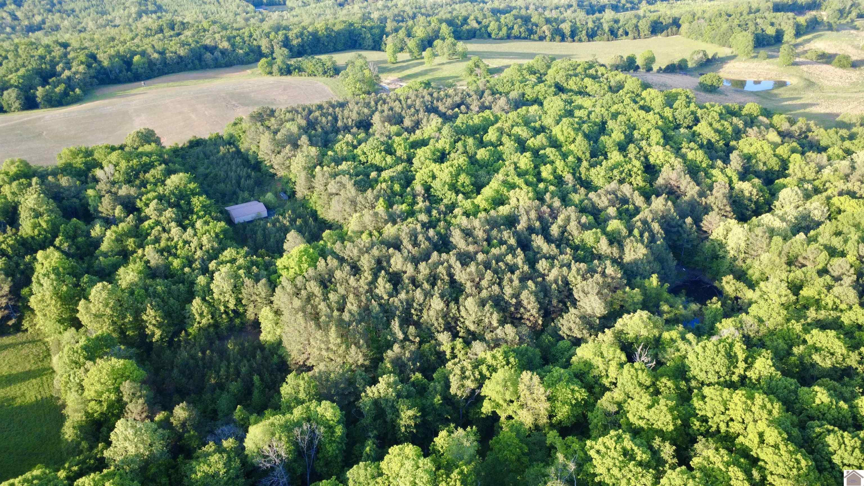 4436 Shoemaker Road Hazel, KY 42049 - Photo 21 of 30 Photo 22