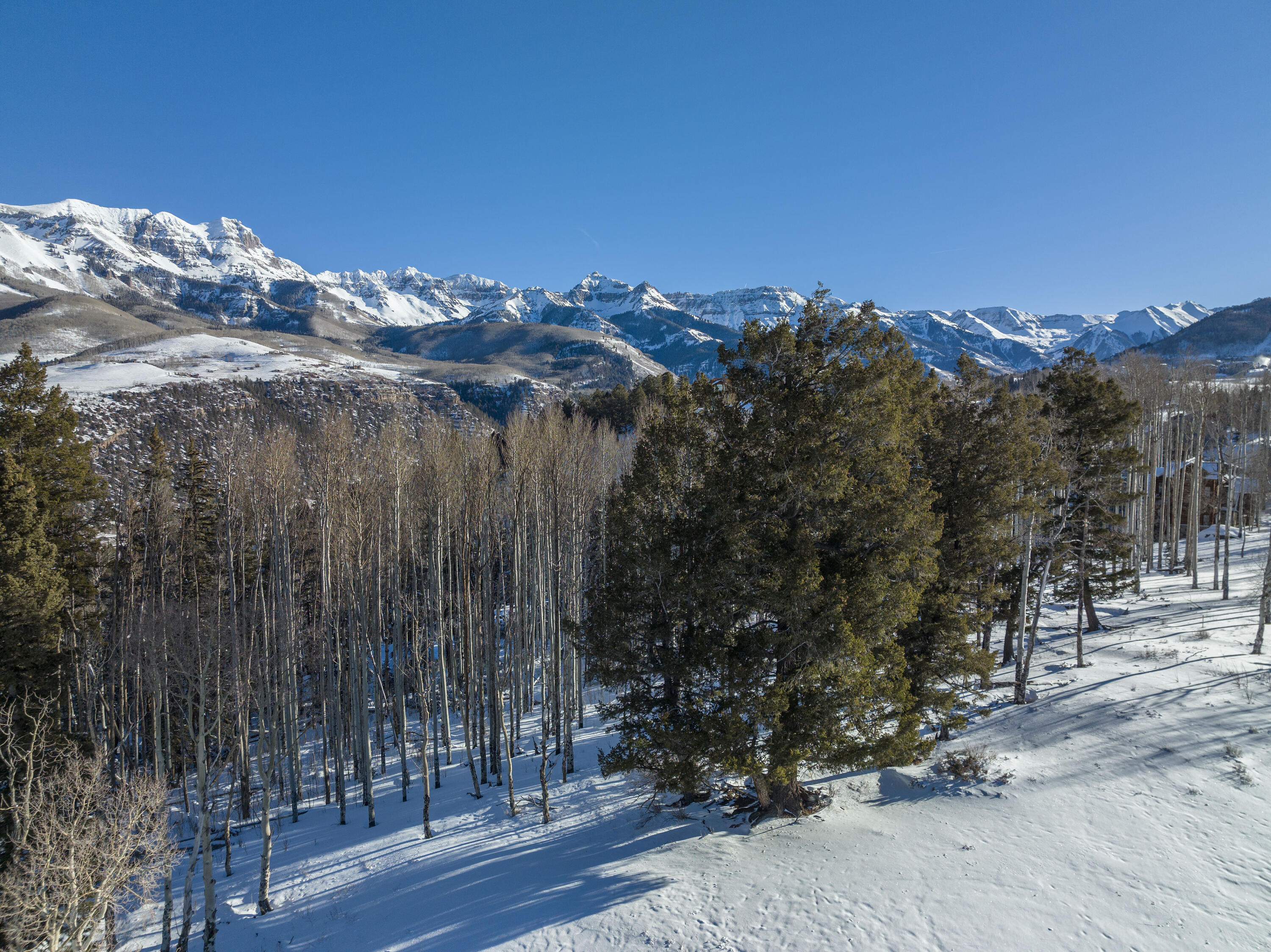 a view of a pathway with a wrought fence