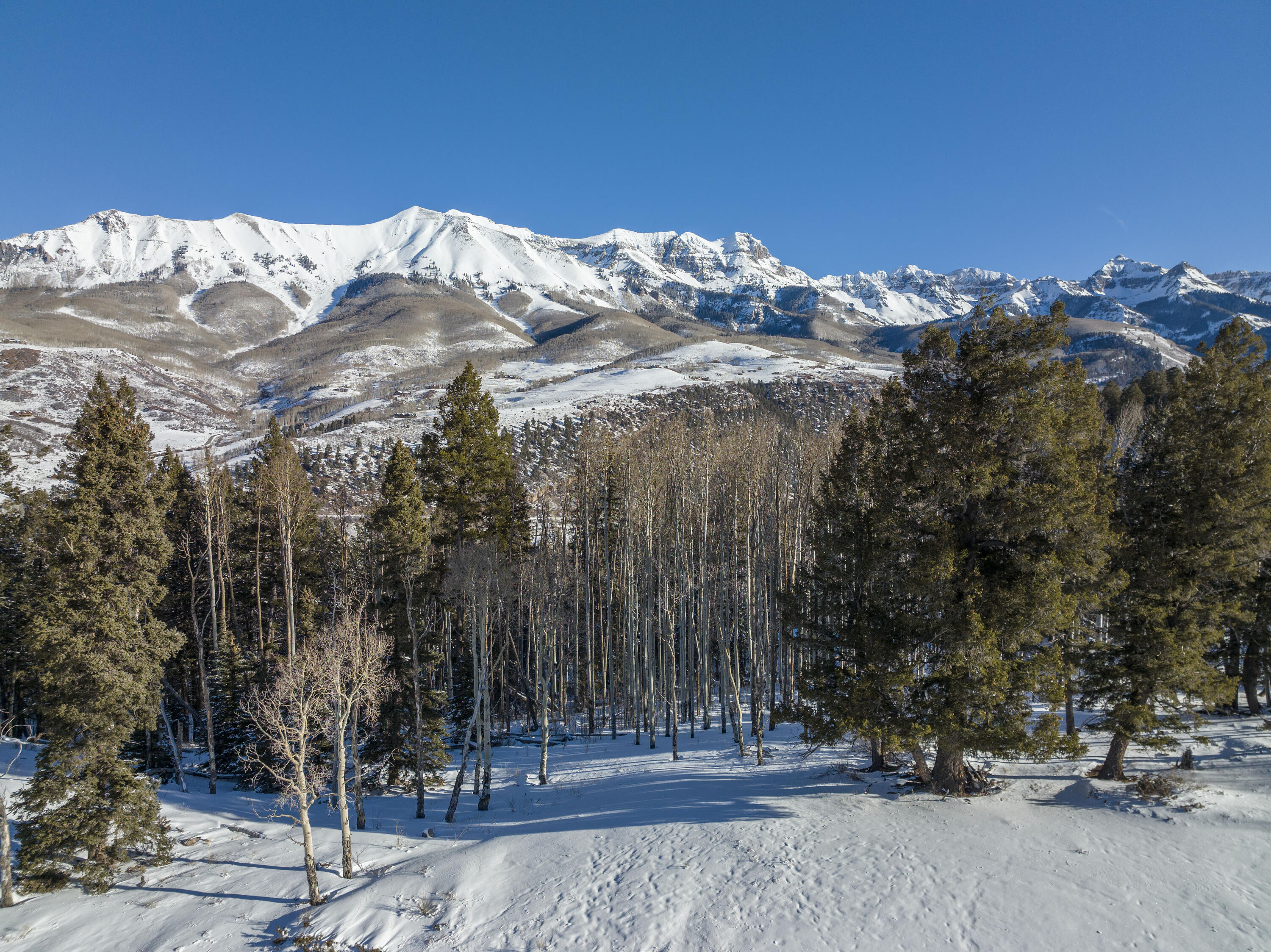 Tbd Lawson Point Telluride, CO 81435 - Photo 9 of 15 a view of a tree with a backyard of the house