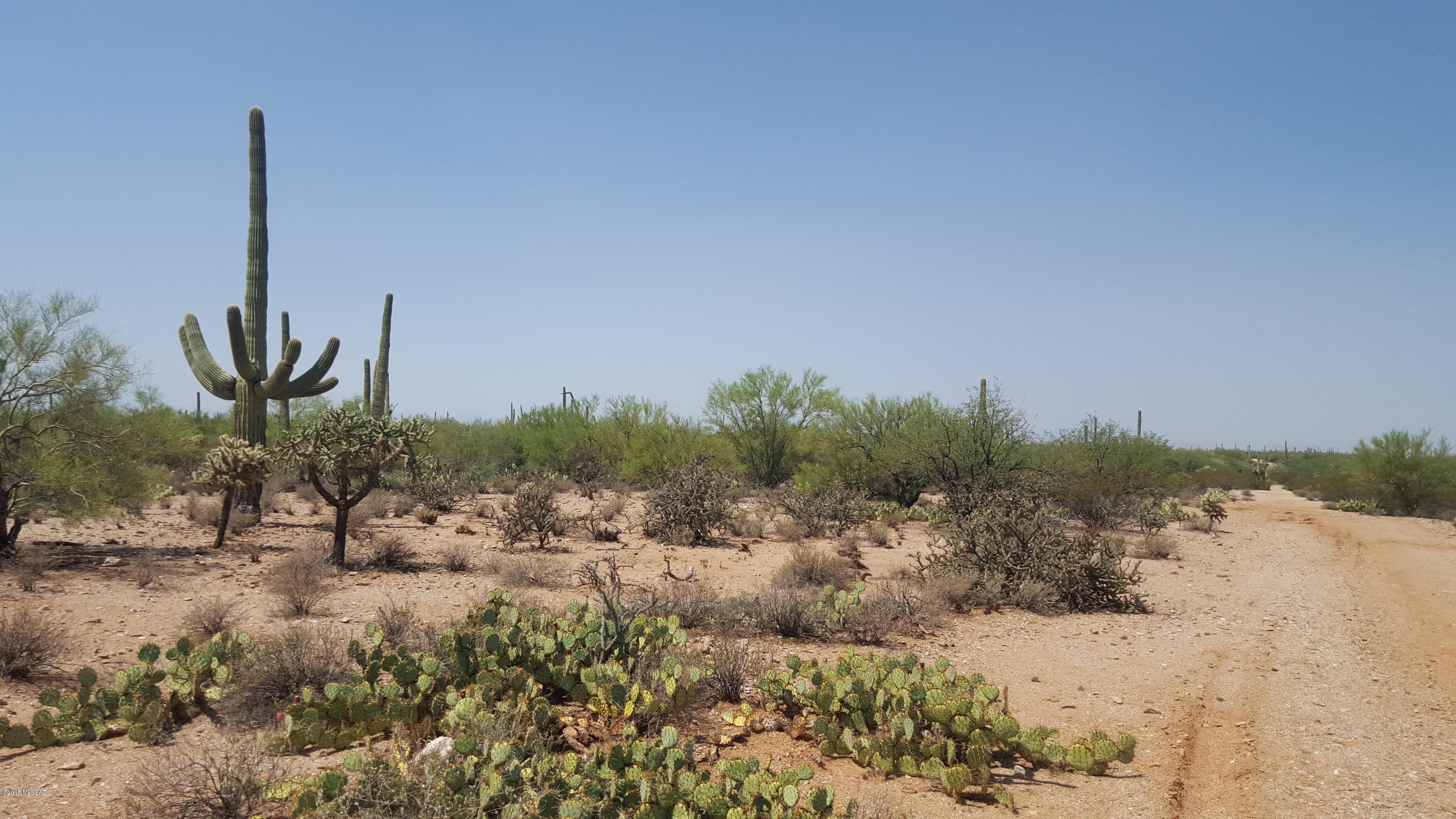 South Mule Deer Road Marana, AZ 85658 - Photo 6 of 15