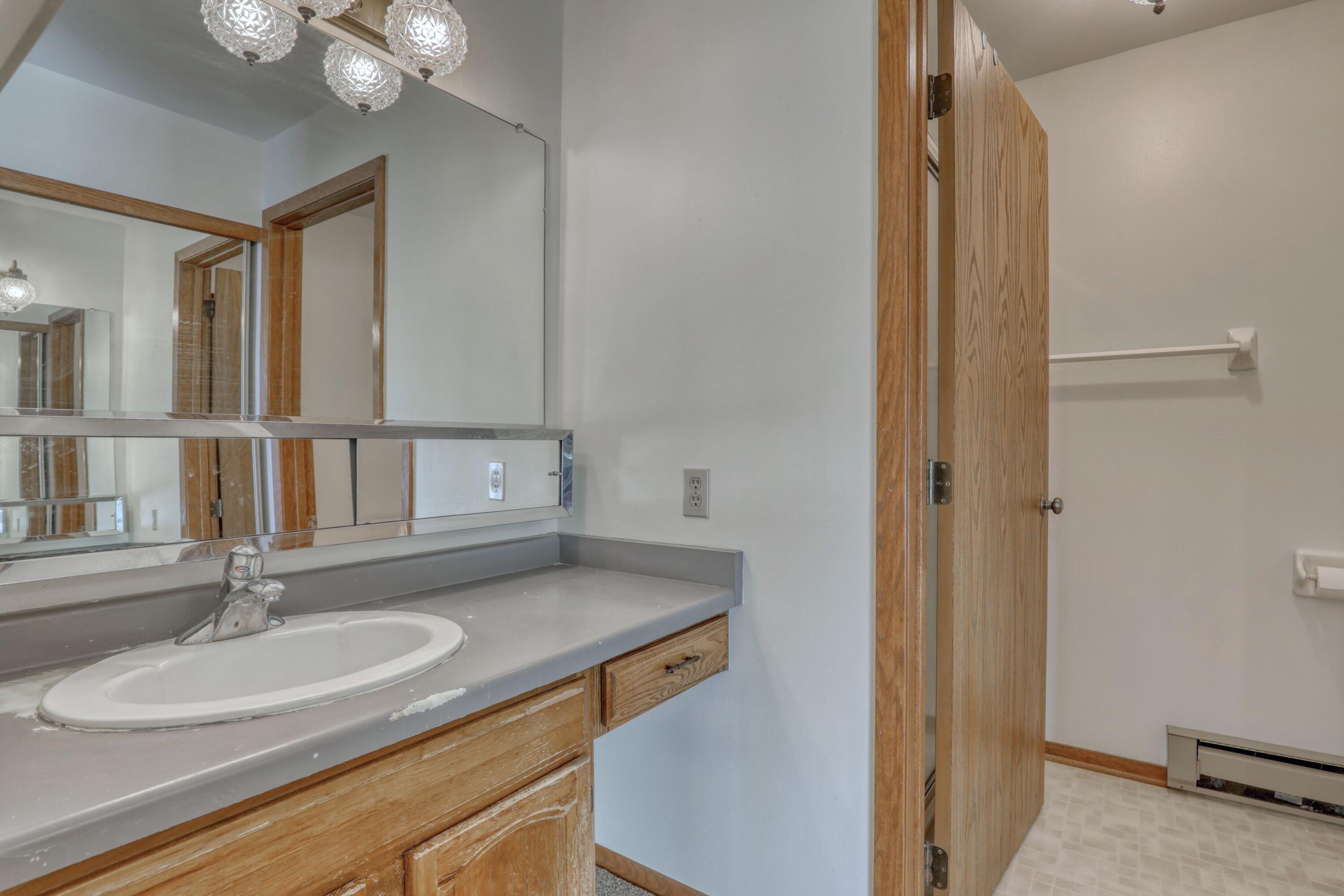 W176N9734 Riversbend Circle East Germantown, WI 53022 - Photo 10 of 27 Primary Bath with walk in shower