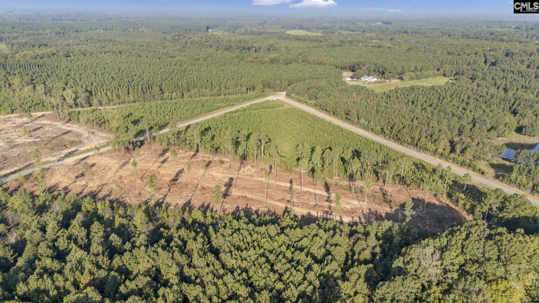 0 Fruit Hill Road Saluda, SC 29138 - Photo 2 of 17