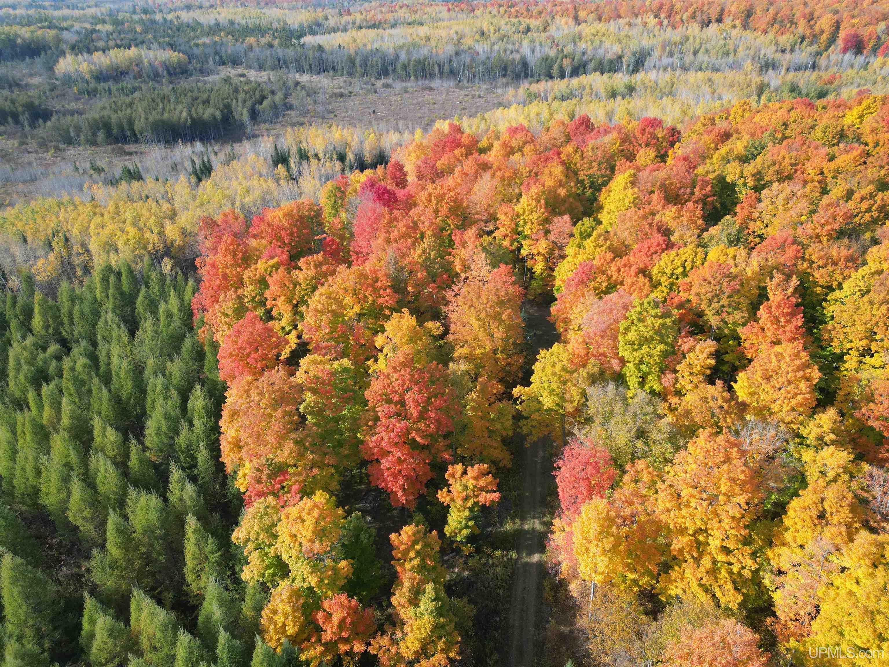 80 Rd Vulcan Mi 49892 Road Vulcan, MI 49892 - Photo 26 of 49 Gallery Image 26