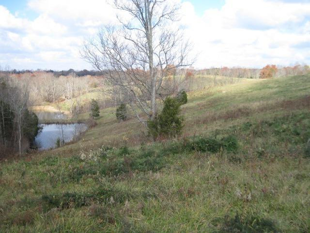 2 Greenup Road Owenton, KY 40359 - Photo 4 of 8 Gallery Image 4