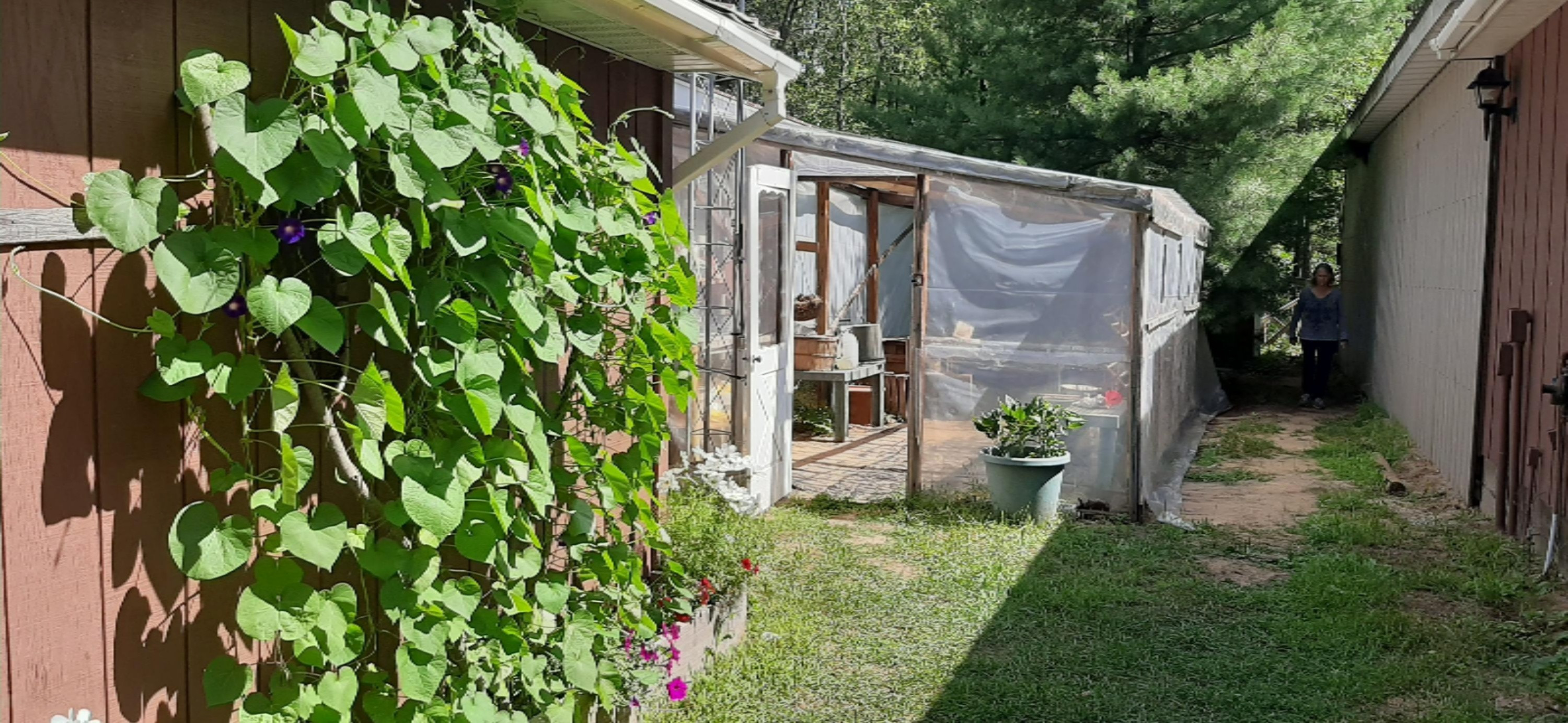 293 North Voelm Road Wellston, MI 49689 - Photo 11 of 56 Greenhouse