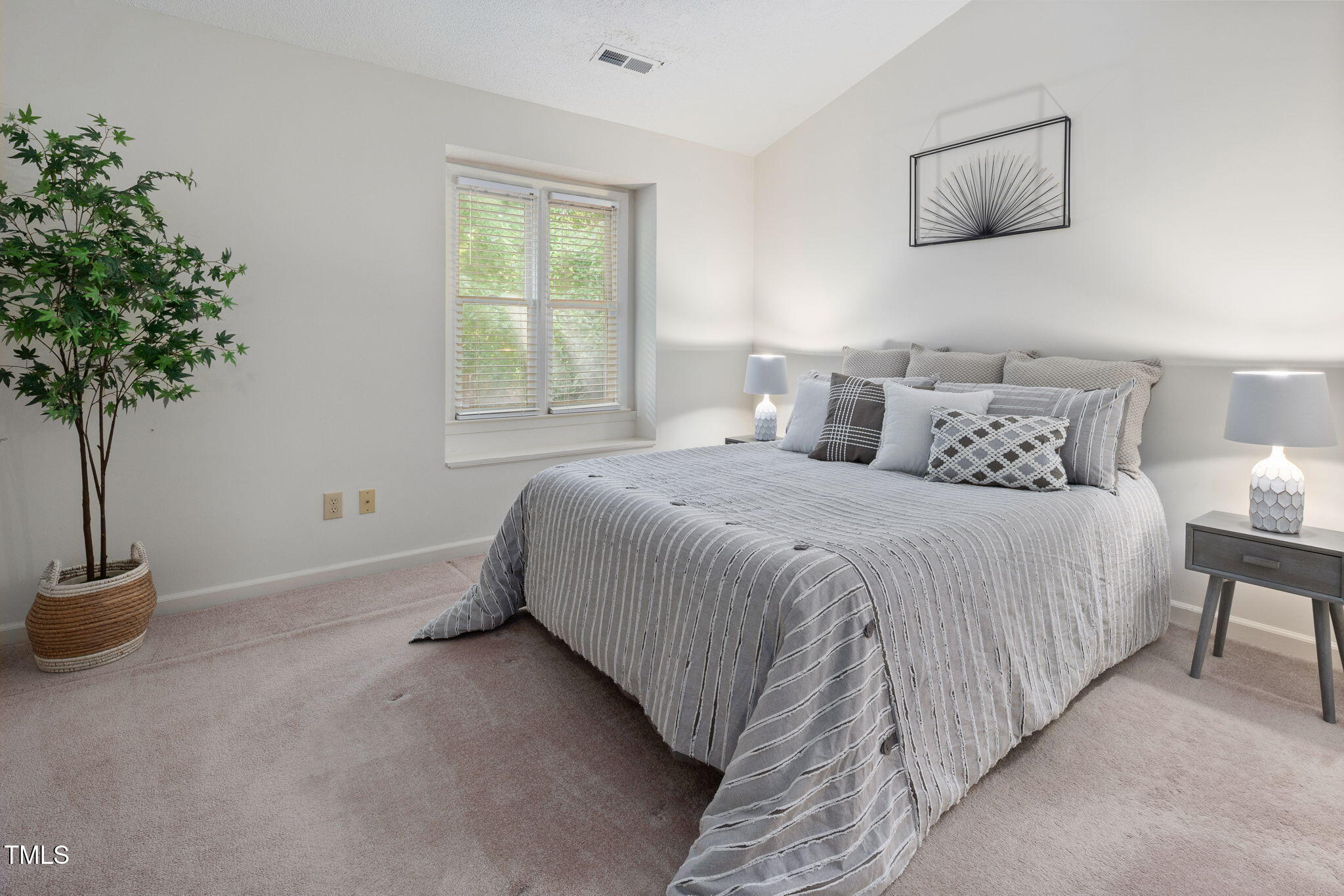 6 Parson Chase Durham, NC 27713 - Photo 8 of 21 24-web-or-mls-DX3A1960