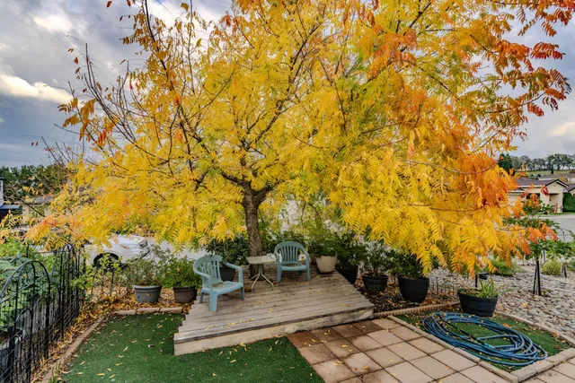 a view of a chairs and table on the wooden floor
