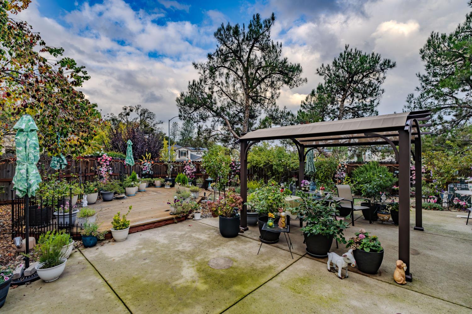 705 Kristi Court Jackson, CA 95642 - Photo 48 of 59