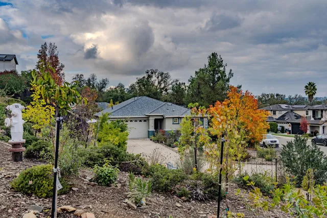 a view of yard with tree