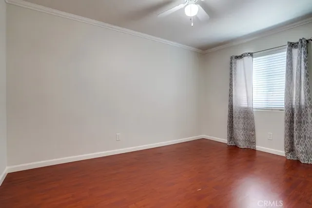 a view of a backyard with plants and large tree