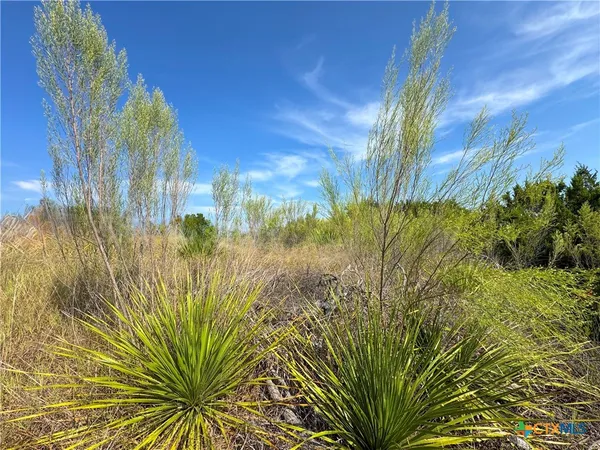 $2,000 | 849 Scenic Hills Drive, Canyon Lake, TX 78133