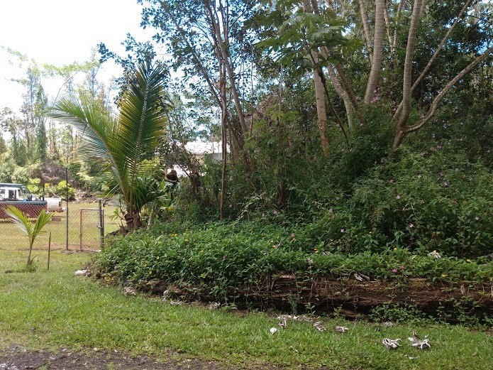 Hilo Road Pahoa, HI 96778 - Photo 3 of 8 Gallery Image 3