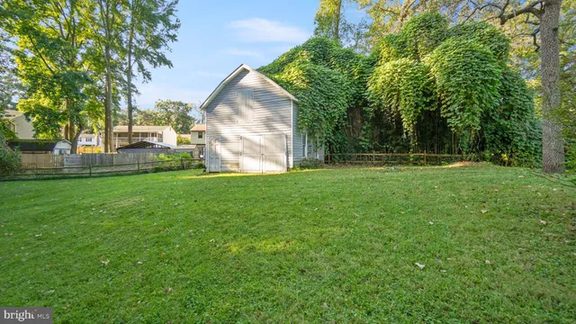 a view of a park with large trees
