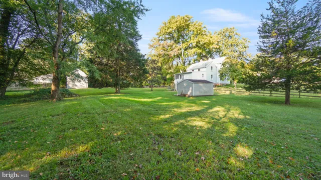a view of a park with large trees