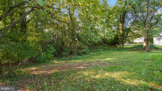 a big yard with lots of green space and deers