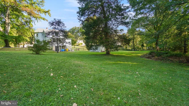 a view of a trees in a yard