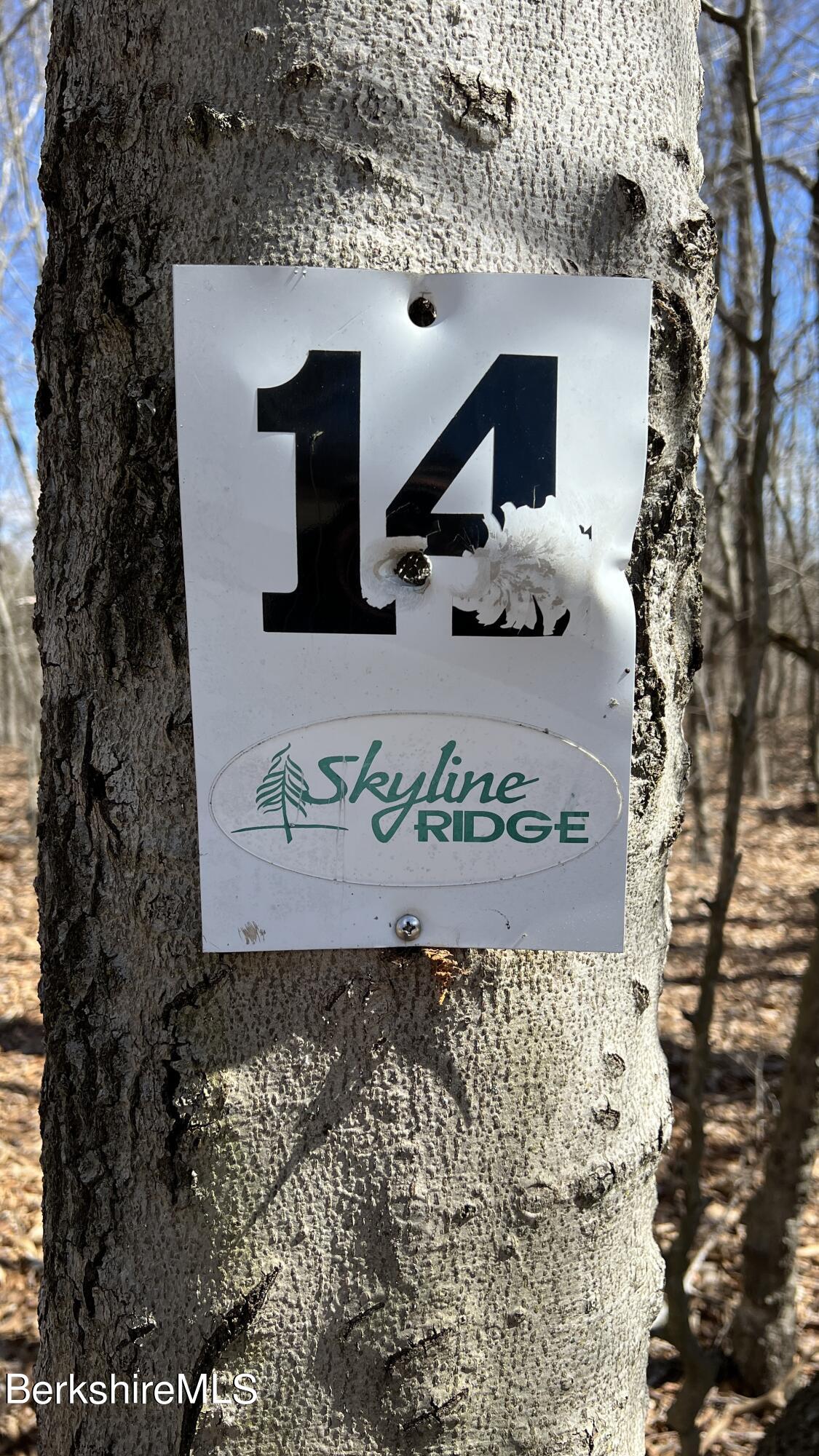 Lot14 Skyline Ridge Road Becket, MA 01223 - Photo 2 of 7 14