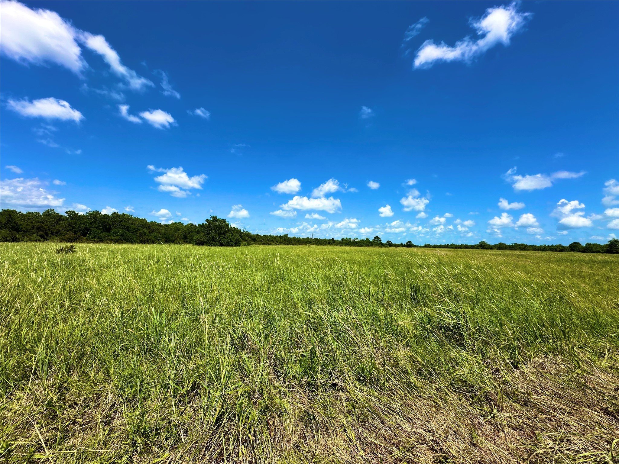 2101 West Bayshore Road Anahuac, TX 77514 - Photo 7 of 10 a view of a lake in the apartment building and green space