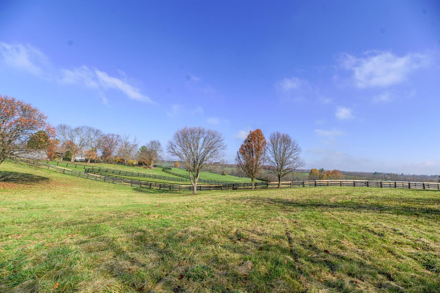 5768 Tates Creek Road Lexington, KY 40515 - Photo 4 of 35 Photo 4