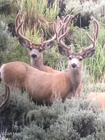 $5,500,000 | 12111 Gcr 2, Kremmling, CO 80459