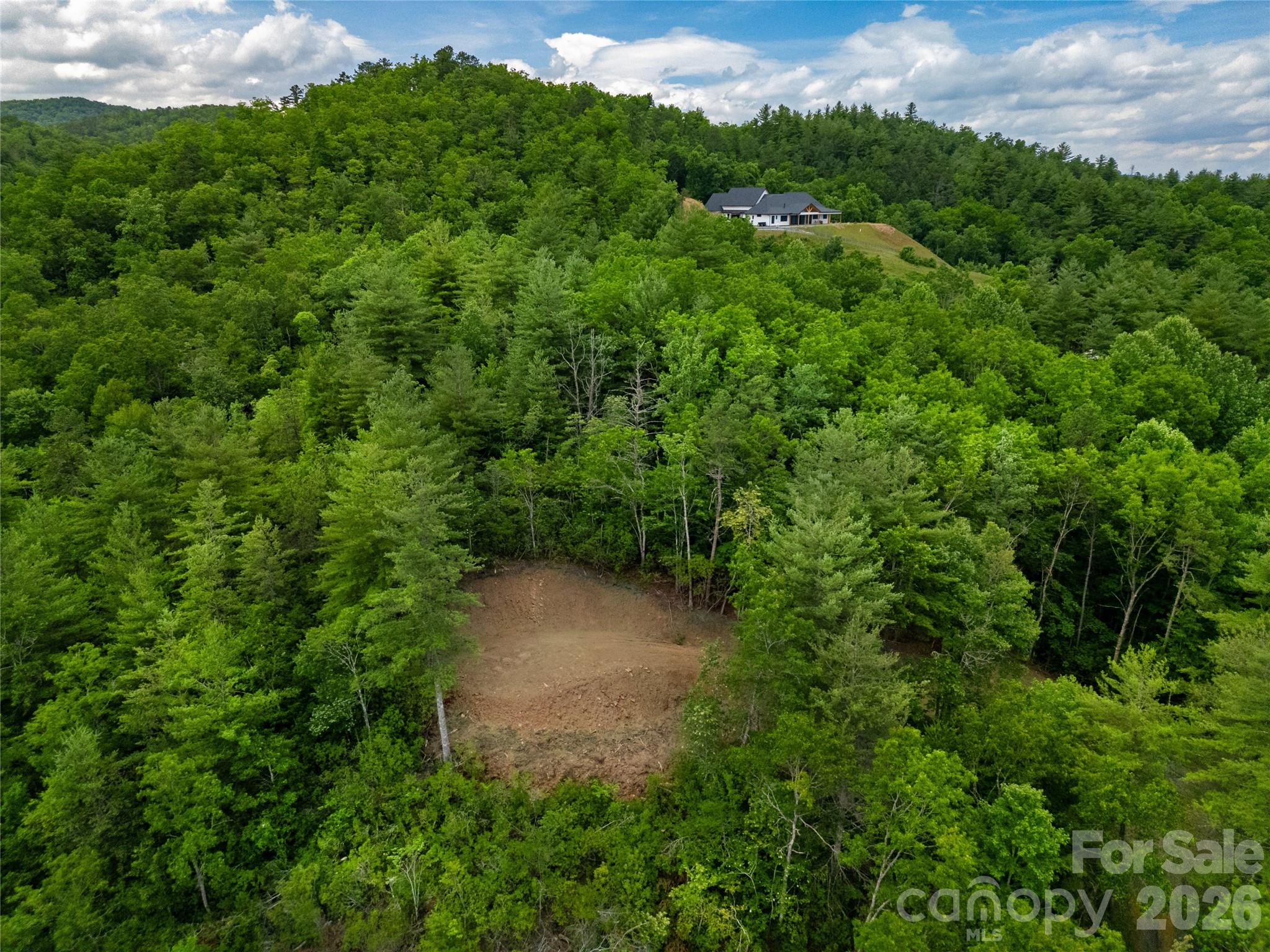Tbd Cherryfield Loop Brevard, NC 28712 - Photo 11 of 15
