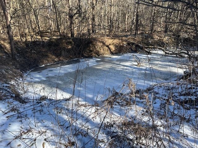 0 North 31 Road Manton, MI 49663 - Photo 10 of 13
