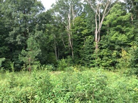 9999 Radford Hollow Road Berea, KY 40403 - Photo 13 of 17 Photo 13