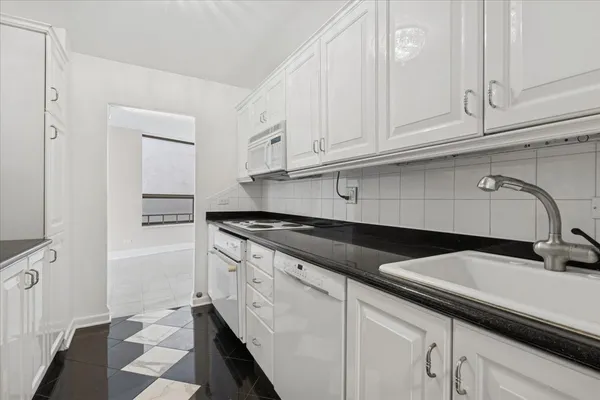 $3,800 | 110 East Delaware Place, Unit 1301, Chicago, IL 60611