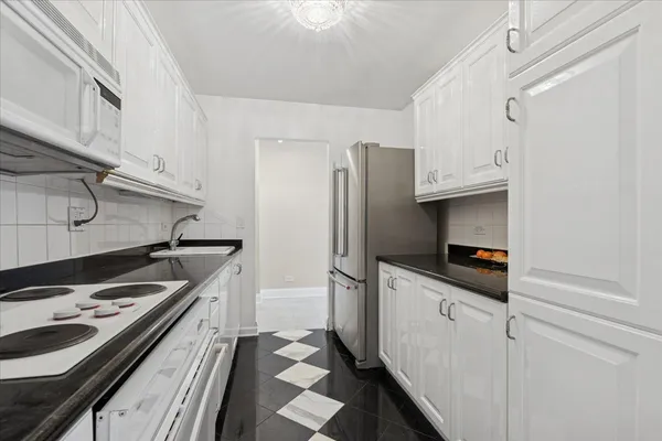 $3,800 | 110 East Delaware Place, Unit 1301, Chicago, IL 60611