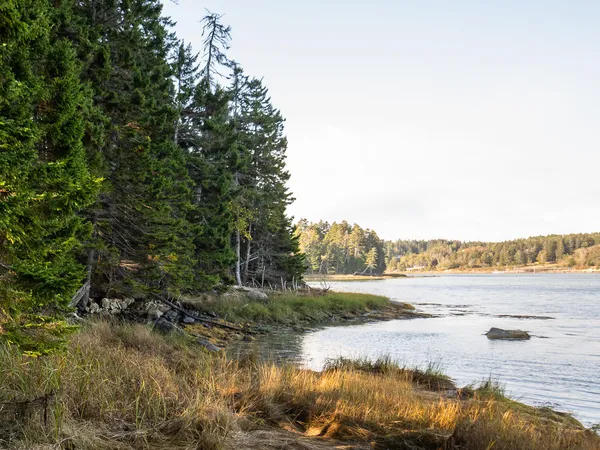 $195,000 | 63 Minturn Road, Swans Island, ME 04685