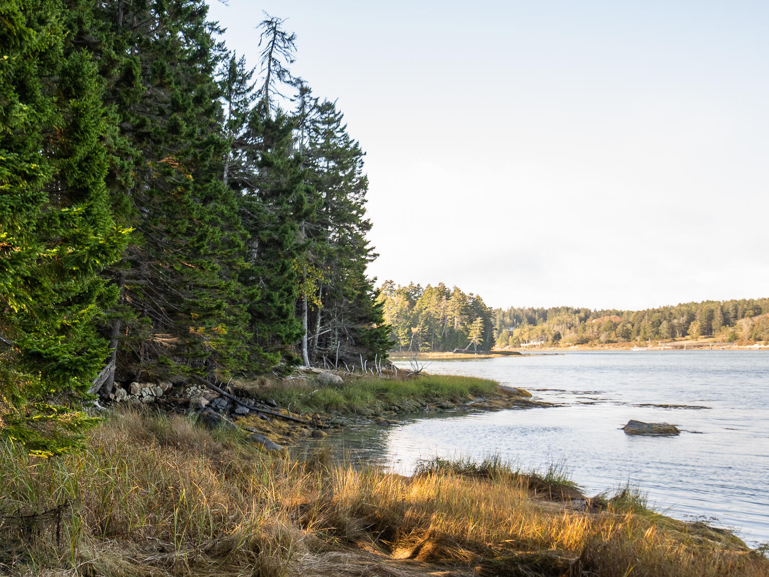63 Minturn Road Swans Island, ME 04685 - Photo 1 of 16 Waterfront 63 Minturn Rd