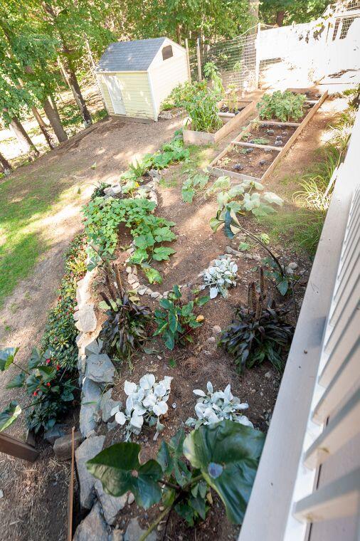 38 Pine Mountain Road Cape Neddick, ME 03902 - Photo 24 of 45 Garden