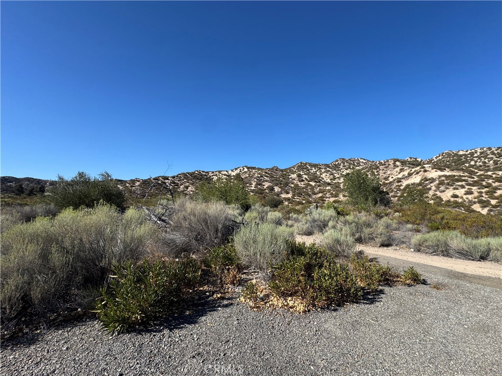 4292 Davis Ranch Road Phelan, CA 92371 - Photo 11 of 50 a view of a dry yard with mountains in the background