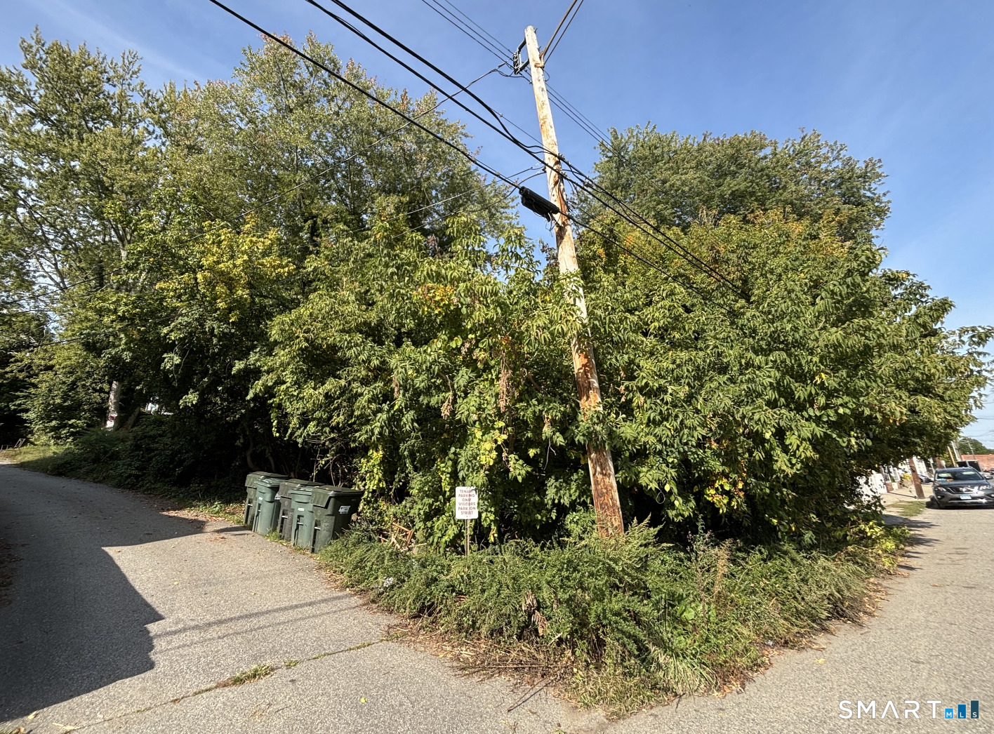 110 North Main Street Norwich, CT 06360 - Photo 2 of 4 a view of a garden with plants and large trees