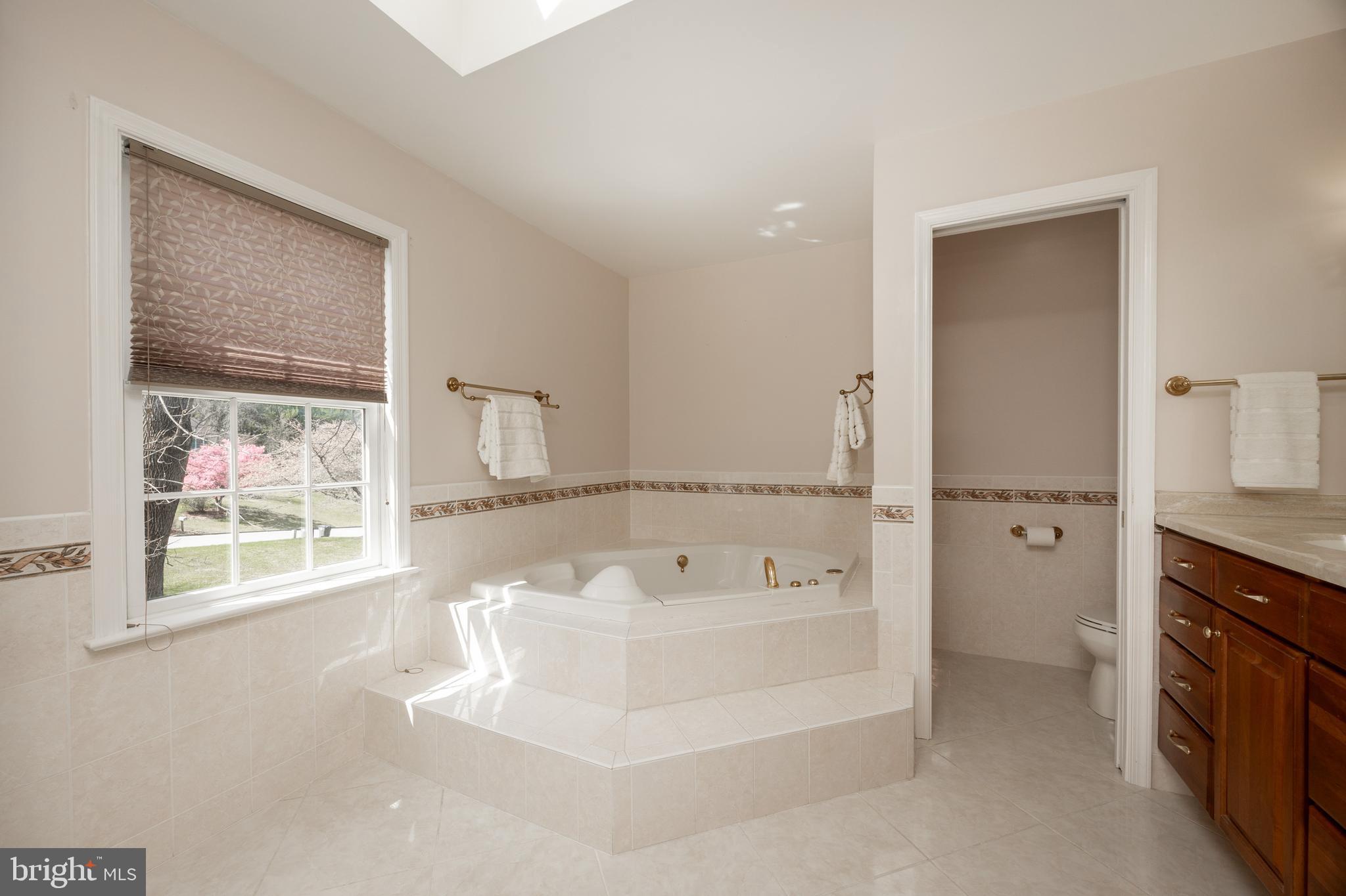 21 Krauser Road Downingtown, PA 19335 - Photo 30 of 54 a spacious bathroom with a tub sink and mirror