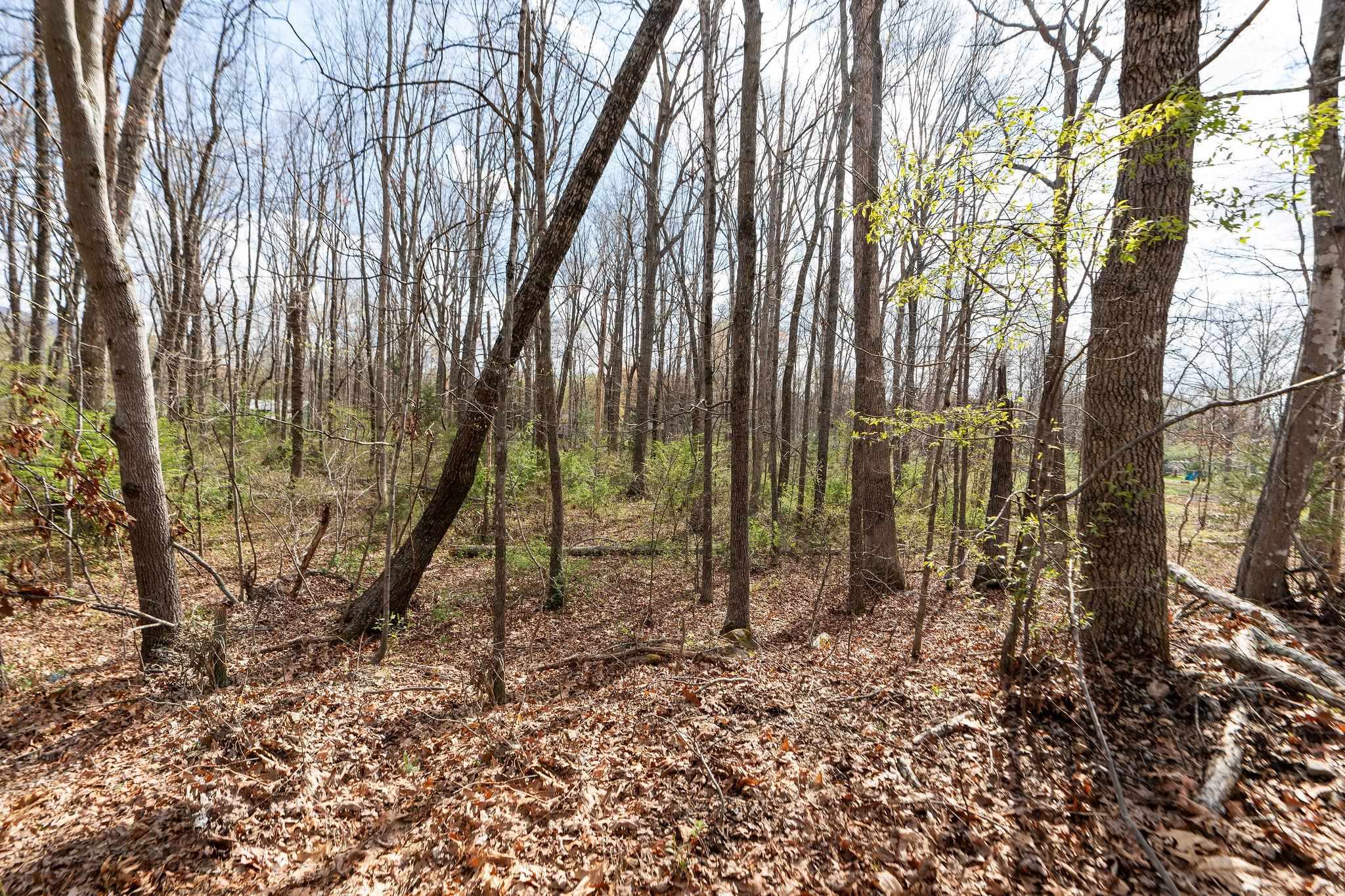 Lot 19 Crimora Mine Road Crimora, VA 24431 - Photo 11 of 49 a view of a backyard