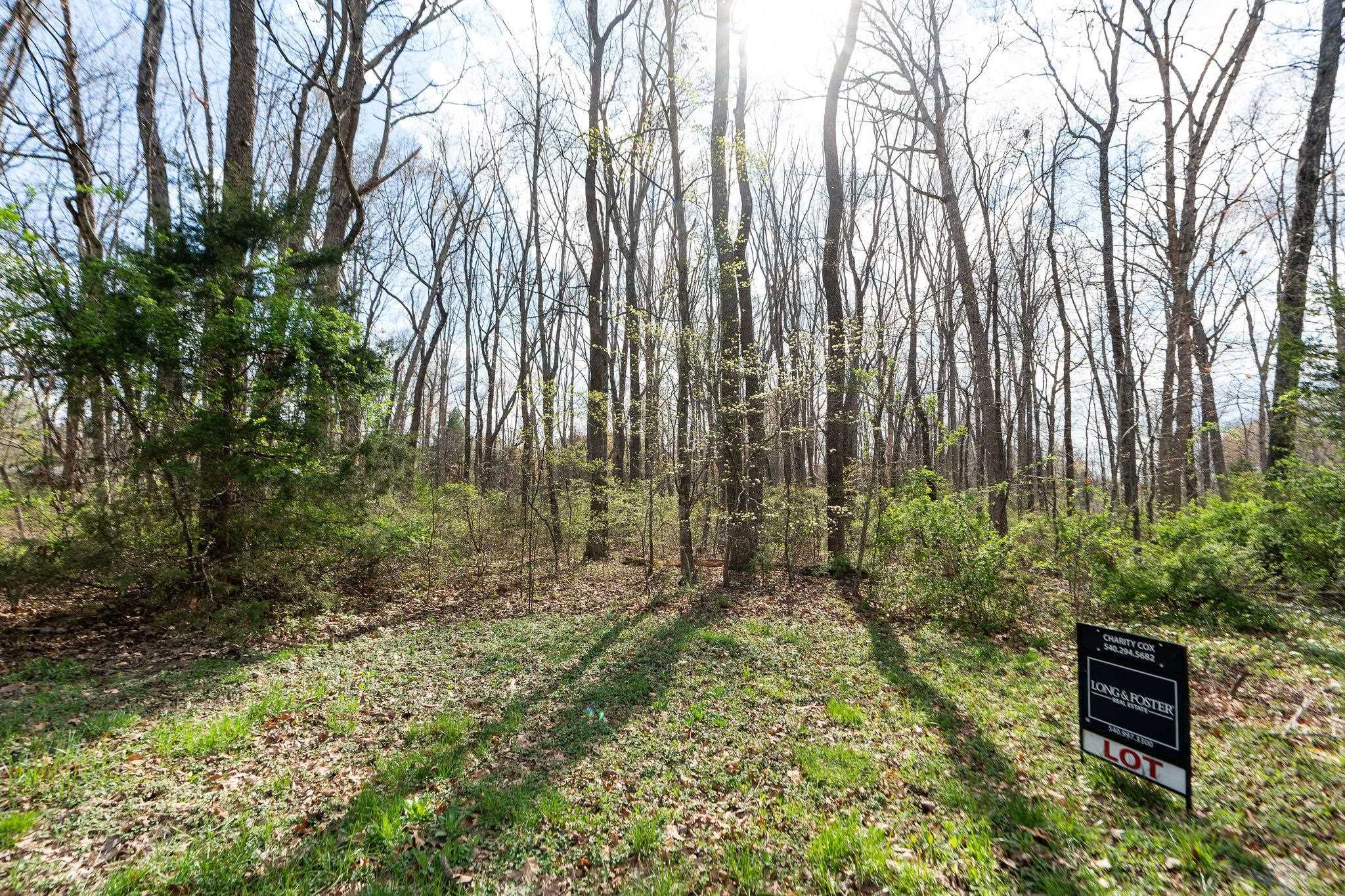 Lot 19 Crimora Mine Road Crimora, VA 24431 - Photo 12 of 49 a view of outdoor space and garden