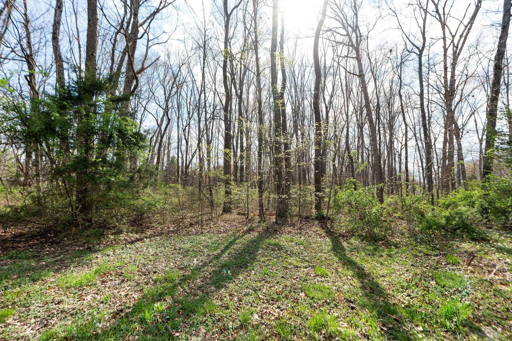 Lot 19 Crimora Mine Road Crimora, VA 24431 - Photo 13 of 49 a view of backyard with green space