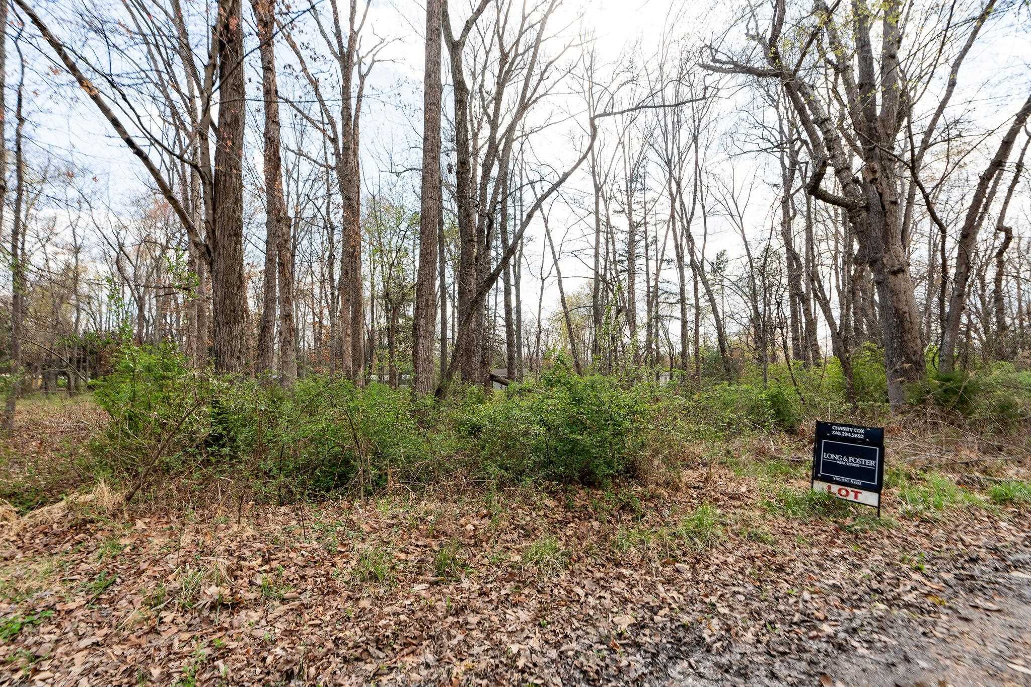 Lot 19 Crimora Mine Road Crimora, VA 24431 - Photo 14 of 49 a view of outdoor space with trees