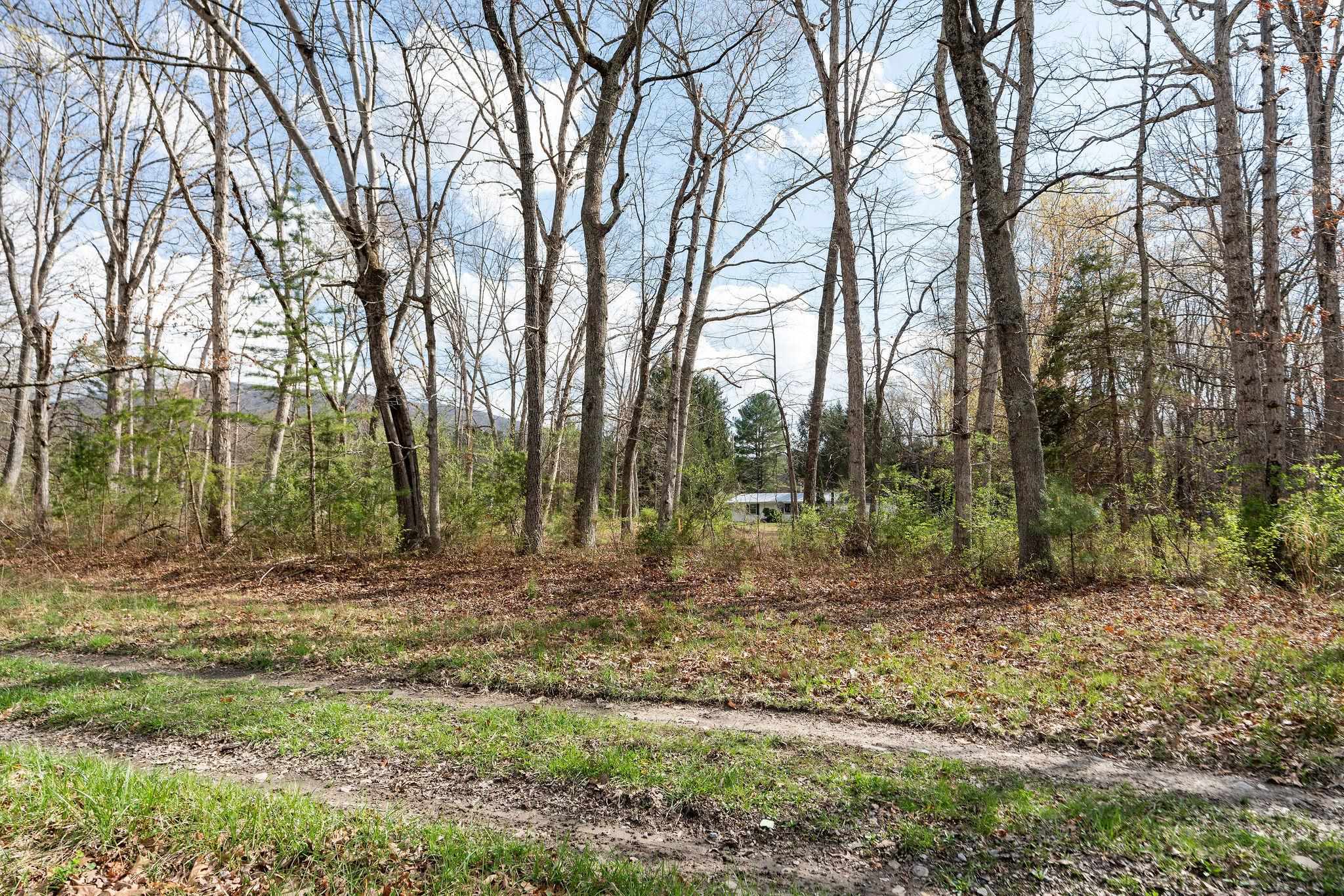 Lot 19 Crimora Mine Road Crimora, VA 24431 - Photo 17 of 49 a view of outdoor space with trees