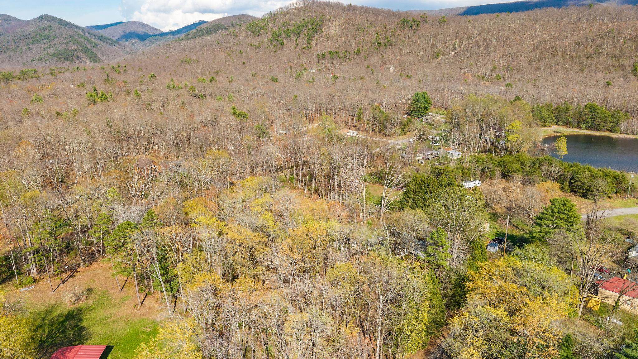 Lot 19 Crimora Mine Road Crimora, VA 24431 - Photo 35 of 49 a view of a dry yard with mountains in the background