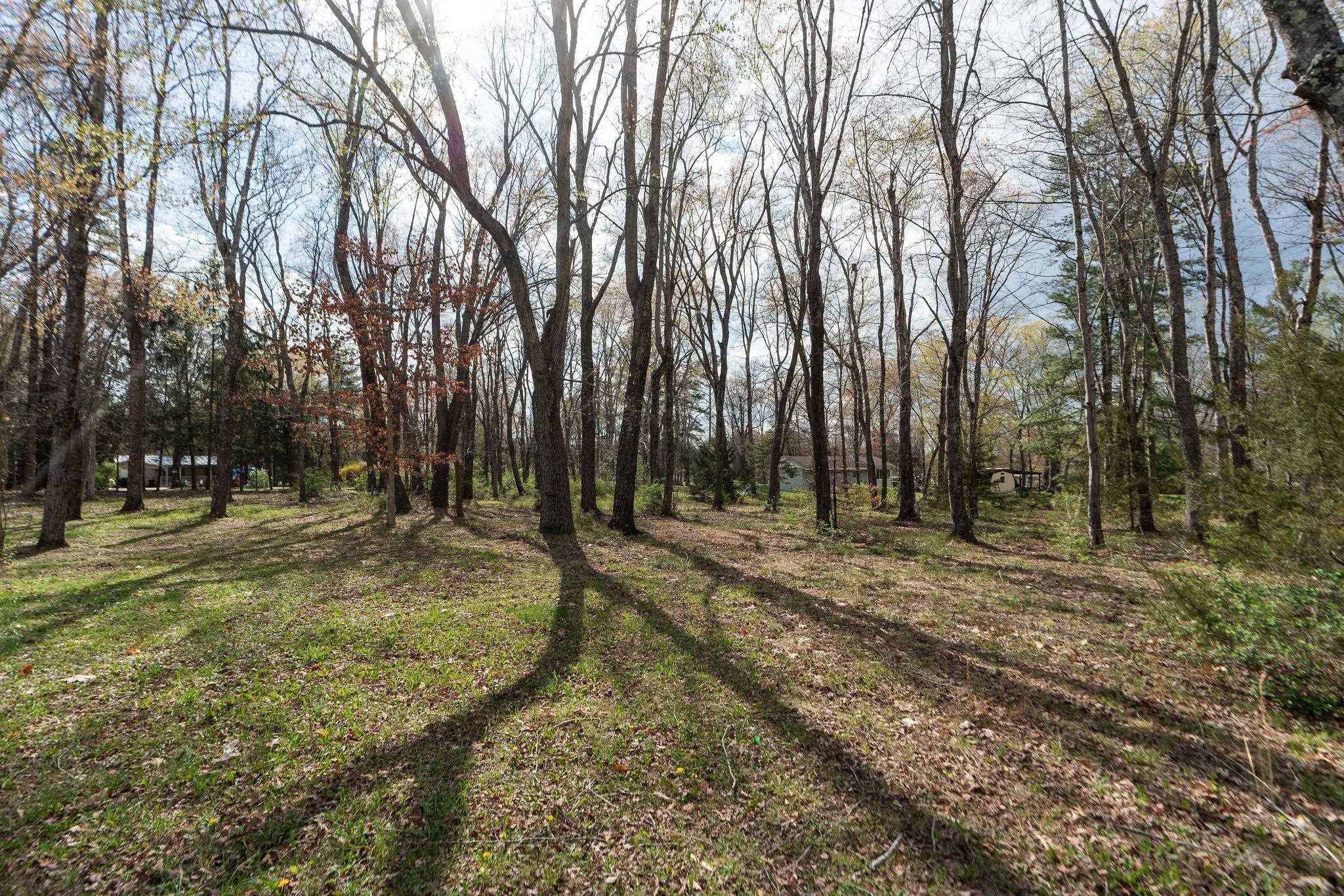 Lot 19 Crimora Mine Road Crimora, VA 24431 - Photo 5 of 49 a view of a yard with trees