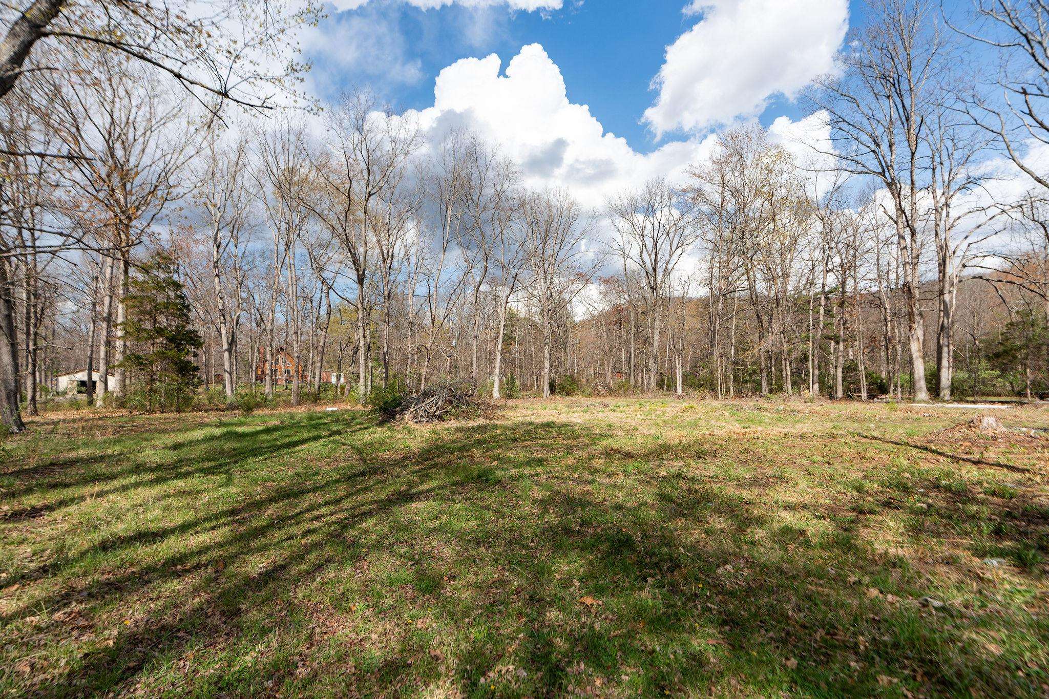 Lot 19 Crimora Mine Road Crimora, VA 24431 - Photo 6 of 49 a view of field with trees