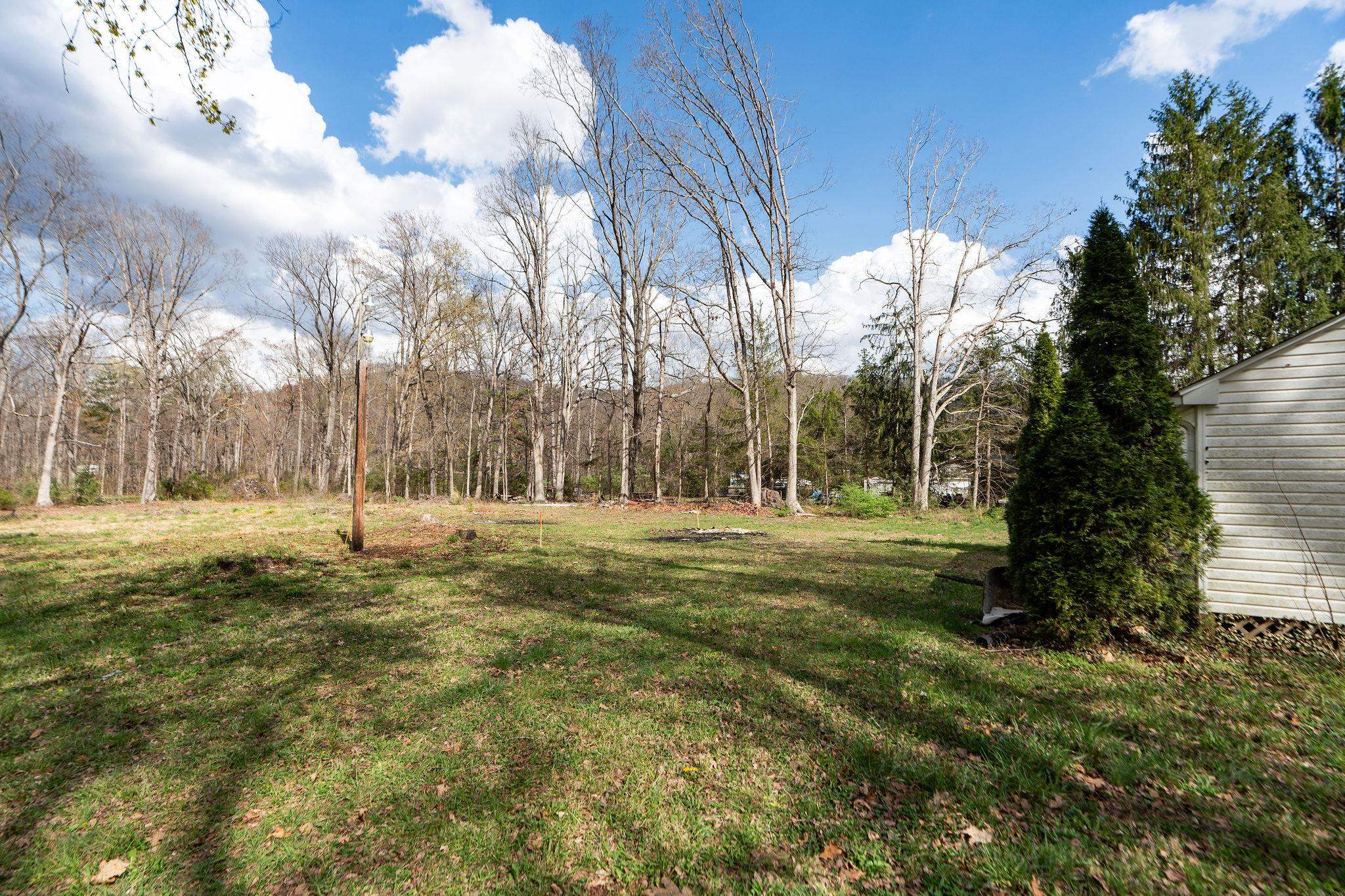 Lot 19 Crimora Mine Road Crimora, VA 24431 - Photo 7 of 49 a view of yard with trees