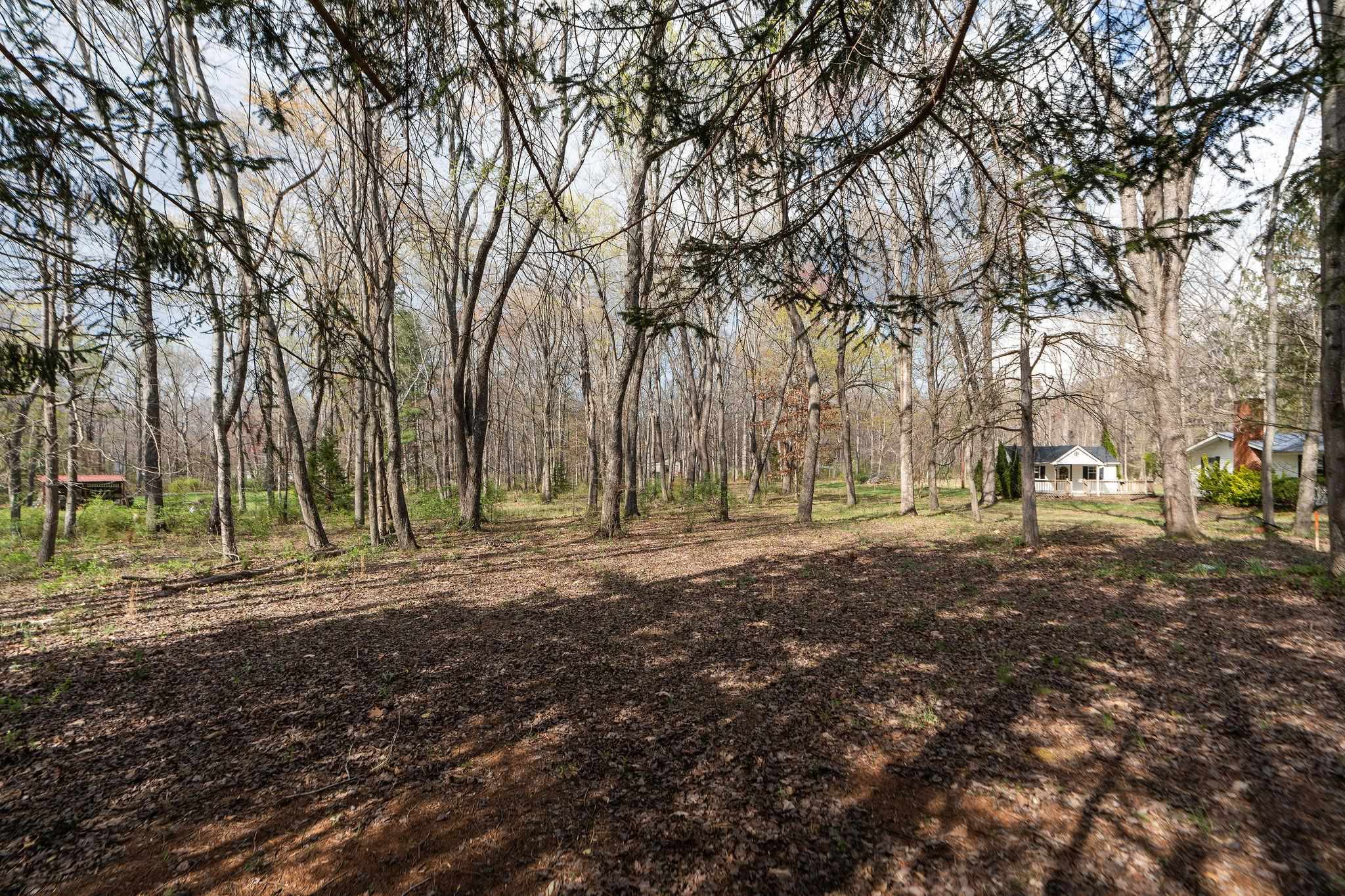 Lot 19 Crimora Mine Road Crimora, VA 24431 - Photo 8 of 49 a view of backyard with green space